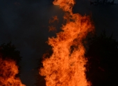 dav-sowefeuer_0733_stitch_bearbeitet-1