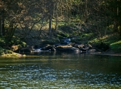 bischof-firmian-weg-127_bearbeitet-1