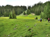 almwanderung-27_00001