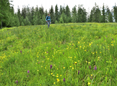almwanderung-32_00001