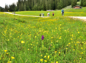 almwanderung-36_00001