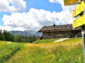 almwanderung-46_00001