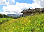 almwanderung-48_00001