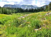almwanderung-50_00001