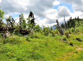 almwanderung-66_00001