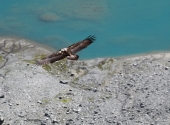 ankogel-tour-89