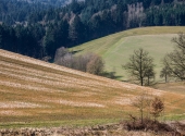 p1300010