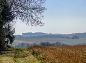 p1300026