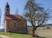 p1300038