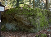 p1300086