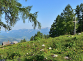 kurz-hinter-der-gowilalm kurz-hinter-der-gowilalm