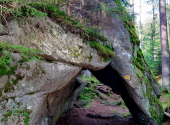 baerenpfad-dav-8