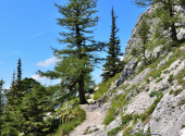 brenner-riesen-steig-115_00001
