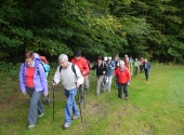 p1280203_bearbeitet-1