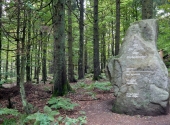 p1280207_bearbeitet-1