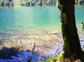 schafluckensteig-brunnkogel-1