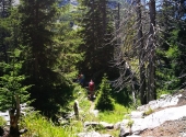 schafluckensteig-brunnkogel-19