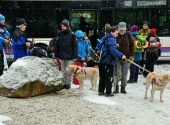 anita-kaelker-dogxaid-1