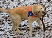 anita-kaelker-dogxaid-5