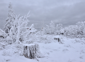 dreisessel-66_00001