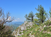 3-tausender-runde-11