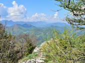 3-tausender-runde-15