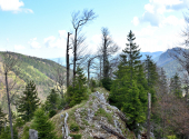 3-tausender-runde-27