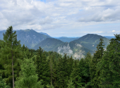erlakogel-10_00010