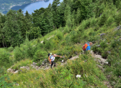erlakogel-15_00015