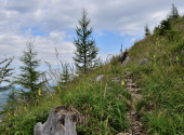 erlakogel-20_00020