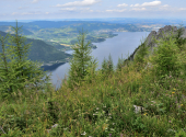erlakogel-23_00023