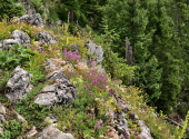 erlakogel-26_00026