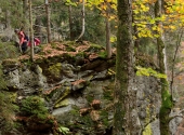 falkenstein-55