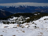 anita-kaelker-fellhorn-6