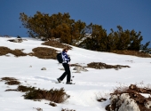 anita-kaelker-fellhorn