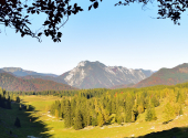 fellhorn-dav-20