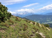 frommerkogel-dav-2025-106_00001