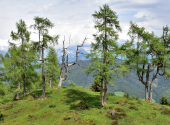frommerkogel-dav-2025-164_00001
