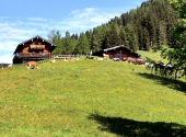 frommerkogel-dav-2025-19_00001