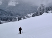 gerzkopf-dav-3