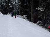 gerzkopf-dav-6