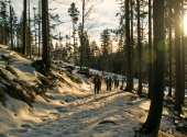 gr-arber249_bearbeitet-1
