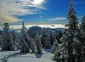gr-arber81_bearbeitet-1