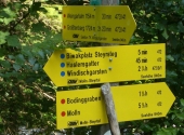 foto-12