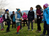 haugstein-dav-116_00001