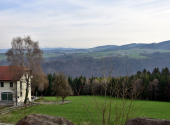 haugstein-dav-118_00001