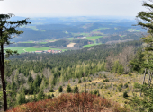 haugstein-dav-41_00001