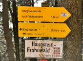 haugstein-dav-45_00001