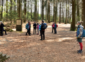 haugstein-dav-63_00001