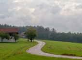 p1130817